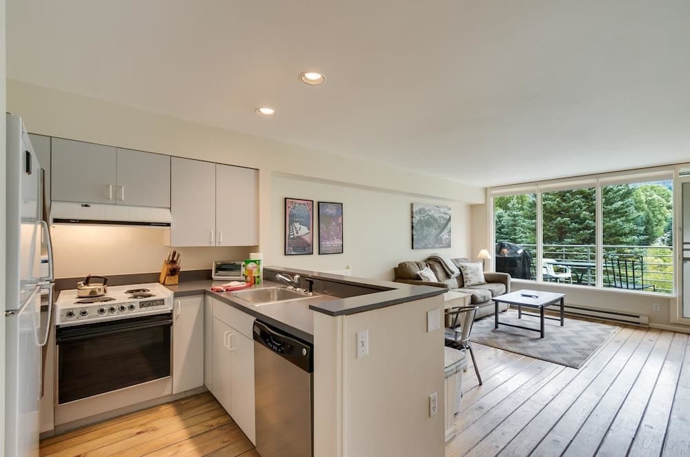 Muscatel Flats 19 1 Bedroom Condo By Accommodations in Telluride