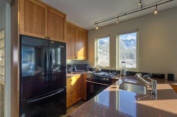 Muscatel Flats 2 1 Bedroom Condo By Accommodations in Telluride