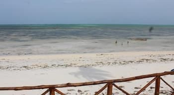 Nyamkwi White Sands