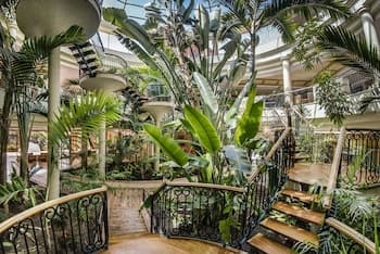 Sheraton Fuerteventura Beach, Golf & Spa Resort