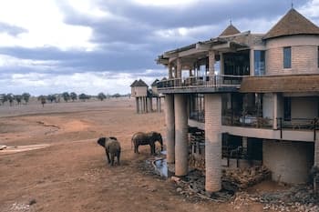 Salt Lick Safari Lodge