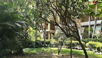 Colibri Surf House & Flats