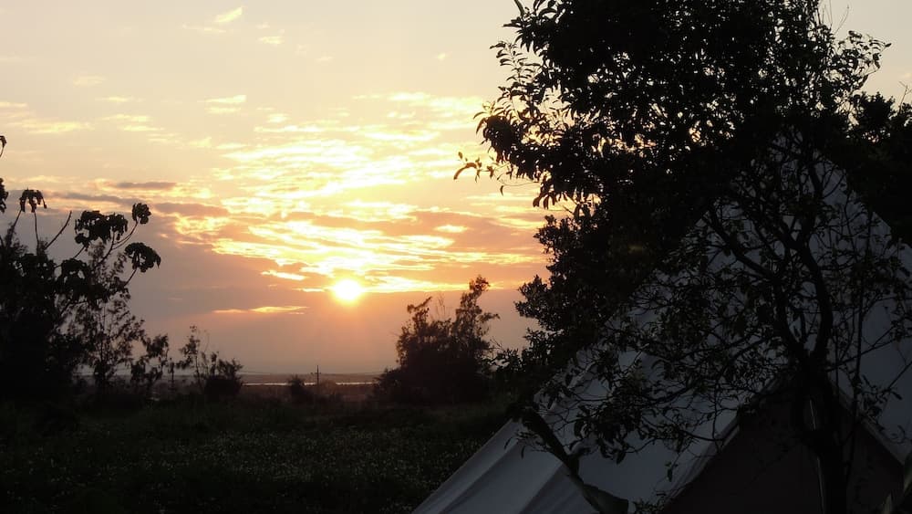 Pension Prussian Blue - Campsite