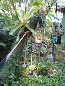 Mambembe Hostel - Ilha Grande