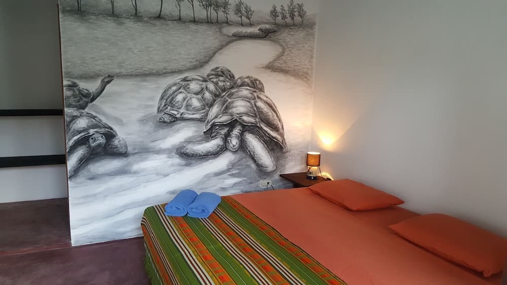 Galapagos Morning Glory