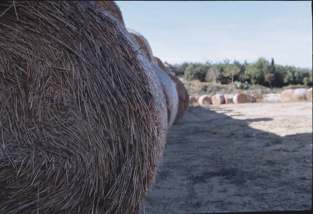 Agriturismo San Giuliano