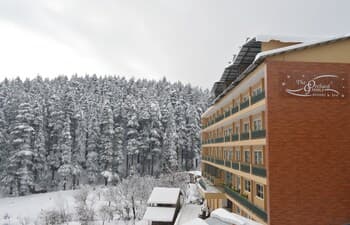 The Orchard Greens Resort