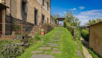 El Bosque de las Viñas