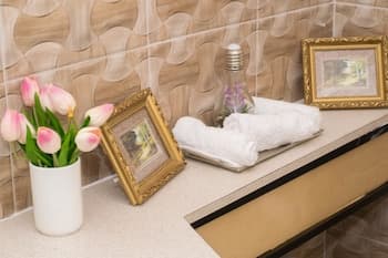 Rochester Modern Chic Apartment