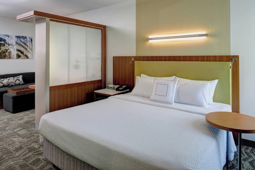 SpringHill Suites by Marriott Saginaw