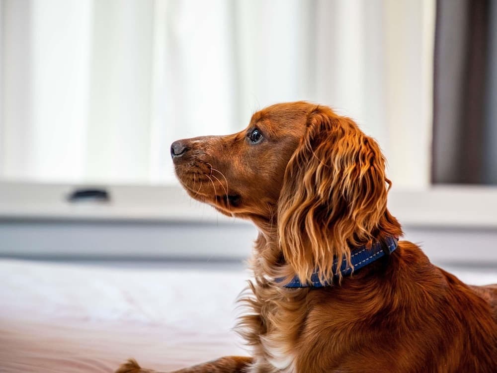 Ibis Styles Glasgow Central