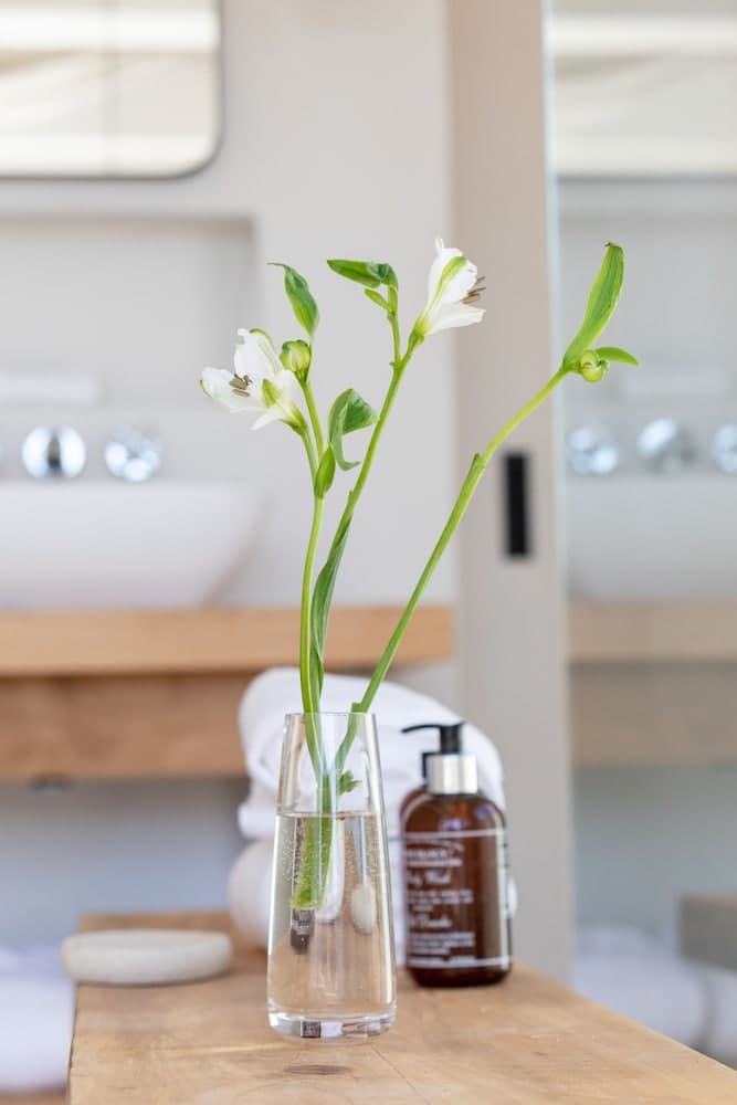 Simbavati Cederberg Ridge