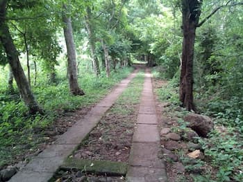 Eco Lodge El Porvenir