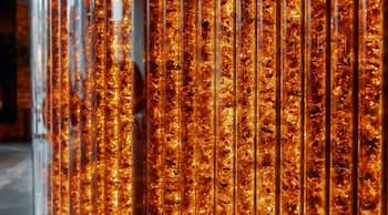 Radisson Hotel & Suites, Gdansk