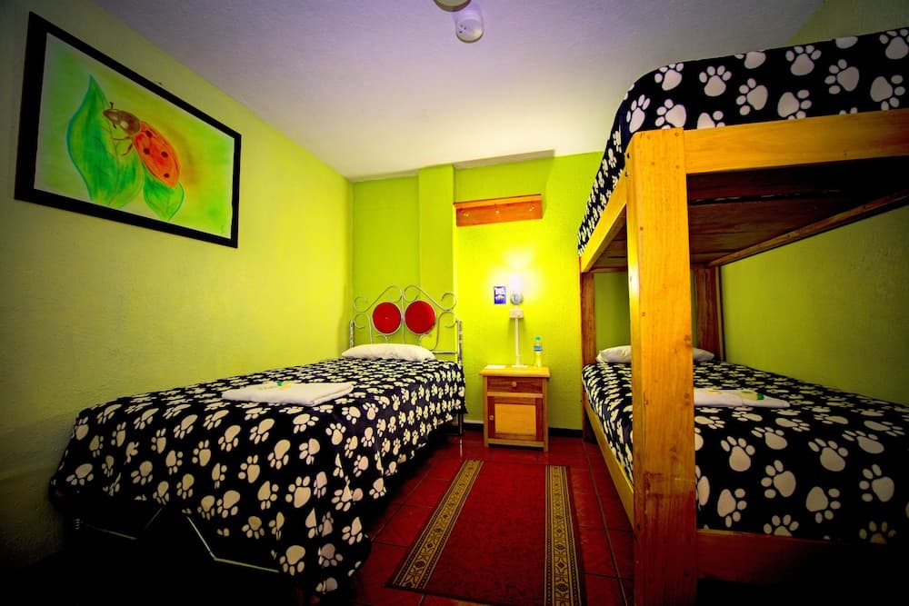 Mirador Oro Verde Quilotoa