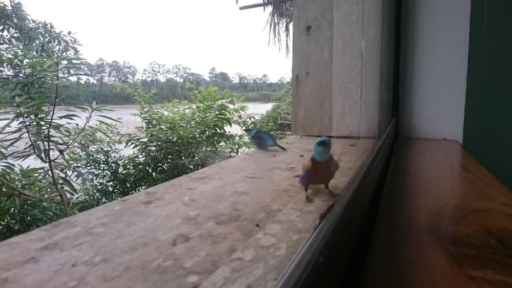 Hosteria Piedra De Vapor