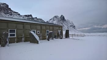 Viking Café Guesthouse