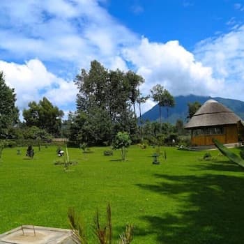 Ingagi Park View Lodge