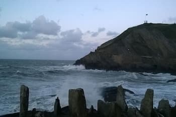 Hollies and Ilfracombe Harbour View
