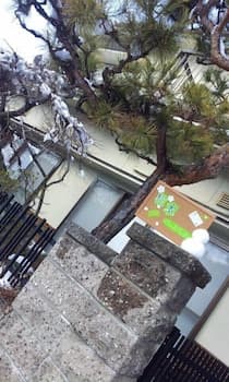 Matsumoto BackPackers