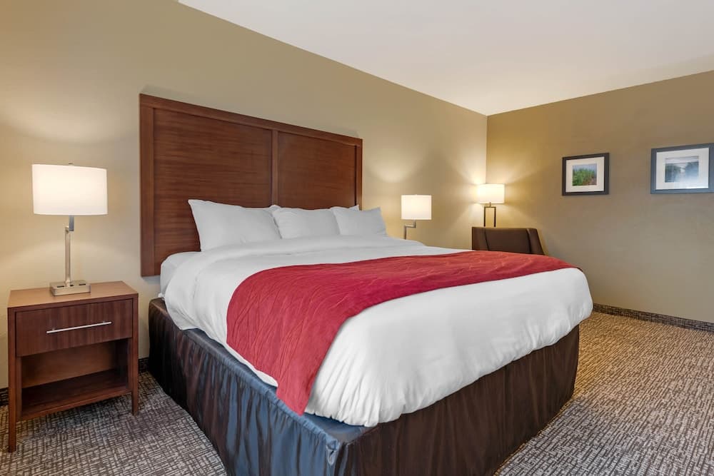 Comfort Inn & Suites Michigan City South