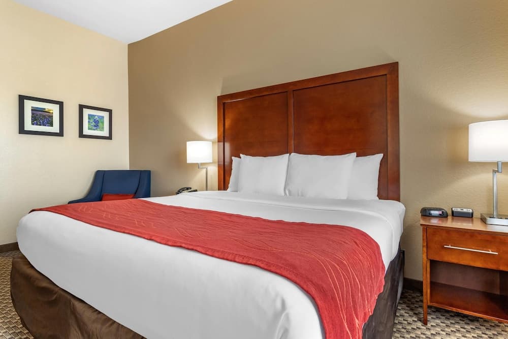 Comfort Inn & Suites Navasota