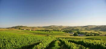 Turners Vineyard Motel and Function Centre