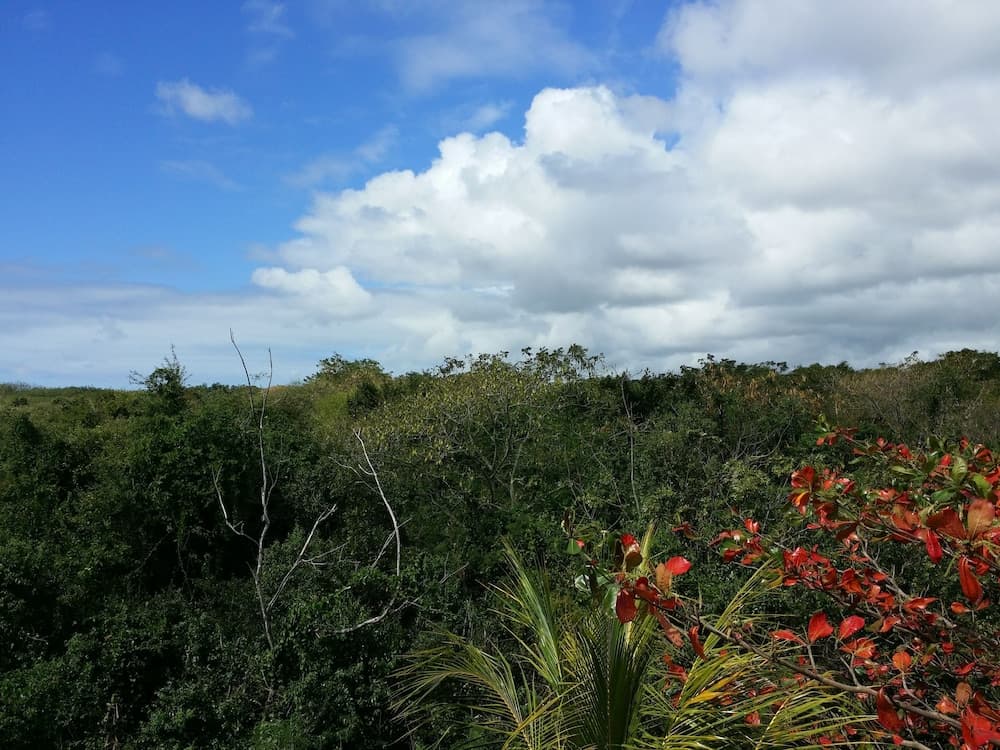 Three Bedroom Apartment by Dakz