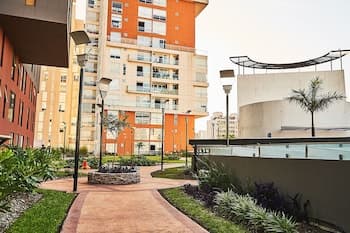 Dodo Horizontes Chapultepec