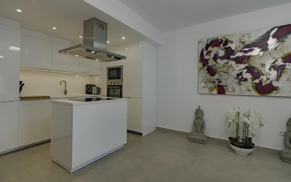 Fantastic Apartment Near Puerto Banus