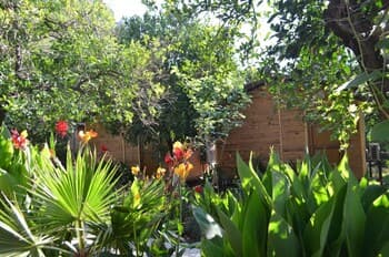 Olympos Mercan Pansiyon