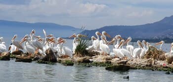 Nimue Marina Residence & Hotel Boutique