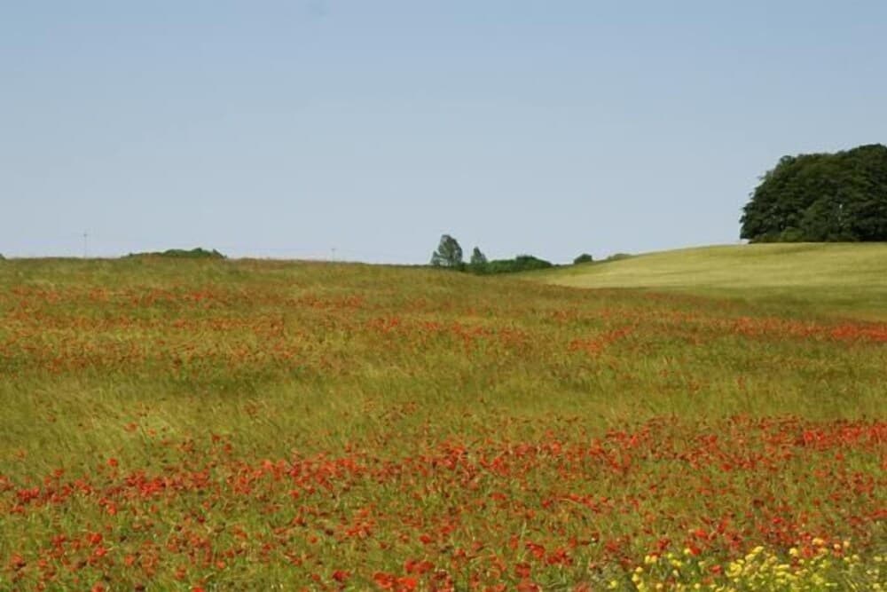 3-raum-ferienwohnung in Zirkow in der Nähe von Binz