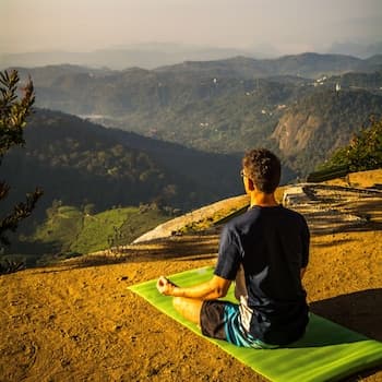 Blackberry Hills Munnar - Nature Resort & Spa