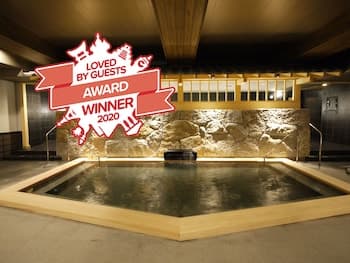 Himeji Castle Grandvrio Hotel