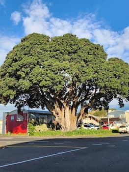 Landmark Manor Motel
