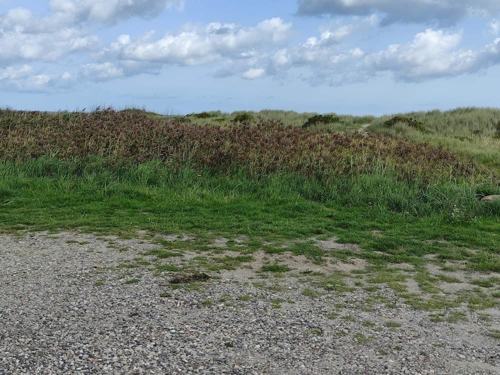 6 Person Holiday Home in Saeby-by Traum