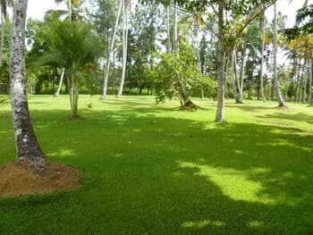 The Place to Enjoy Life