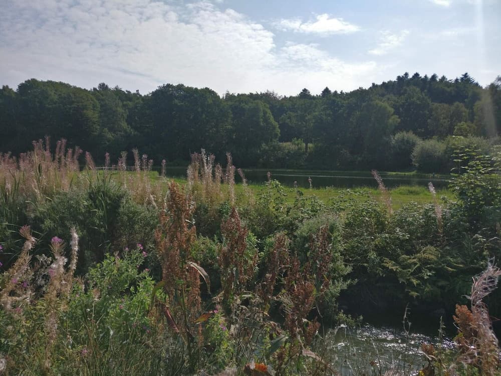 2 Person Holiday Home in Ejstrupholm-by Traum