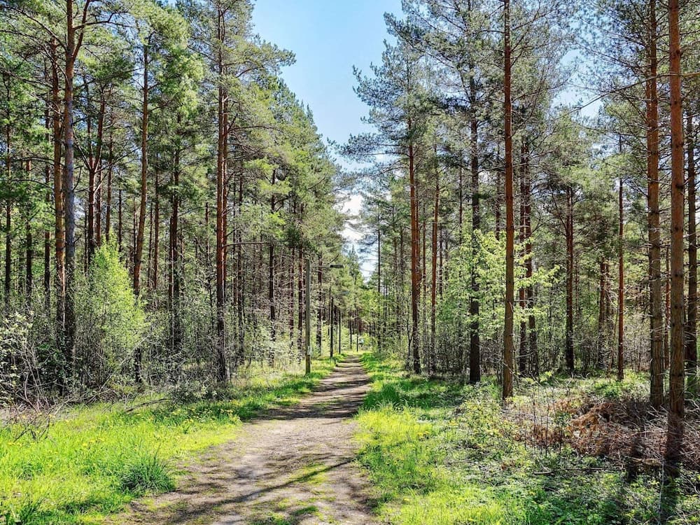 4 Person Holiday Home in Hemse