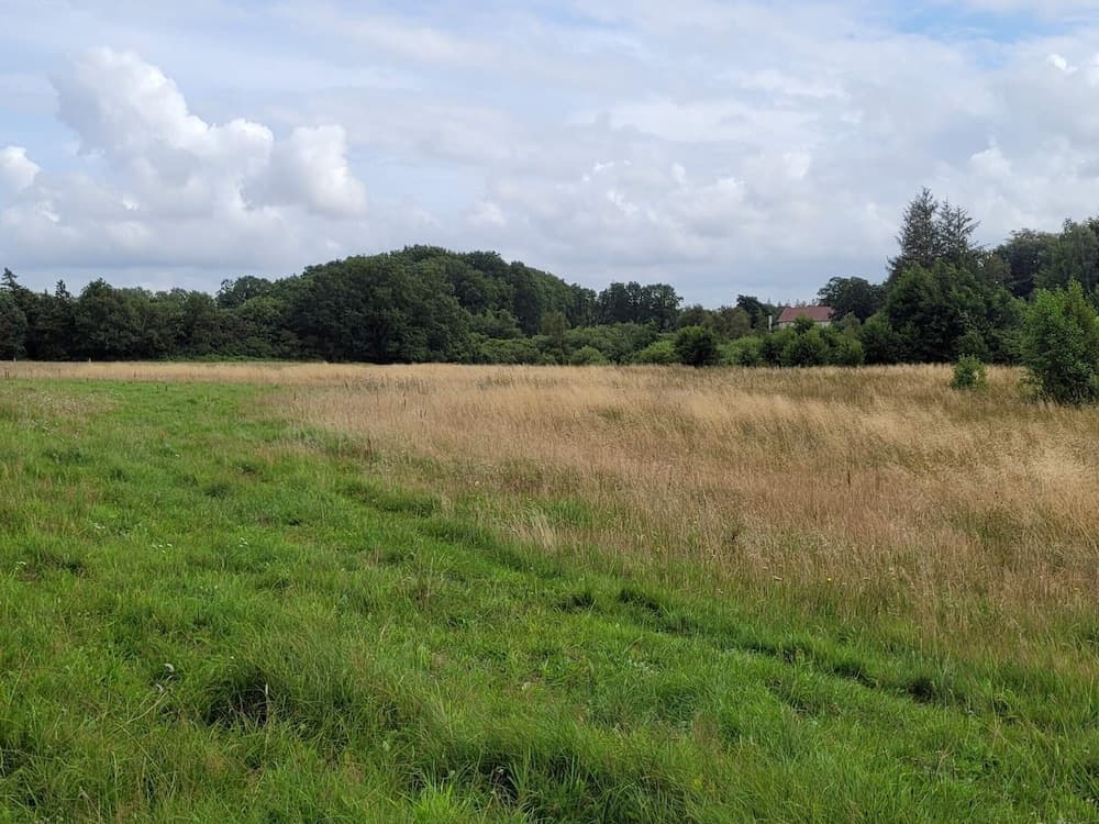 5 Person Holiday Home in Grindsted