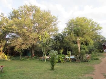 Amanzimlotzi Riverside Bush Camp in Kruger Park, Limpopo
