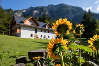 Apartments Goldhorn Kingdom