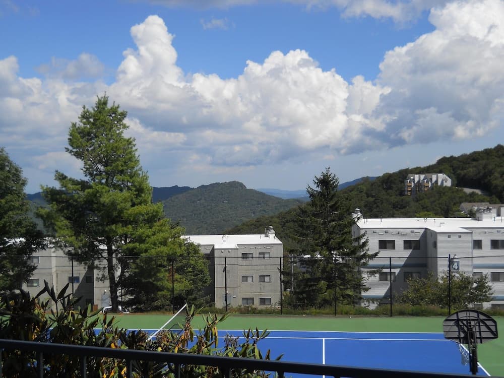 Sugar Ski & Country Club Unit 113 Bronze