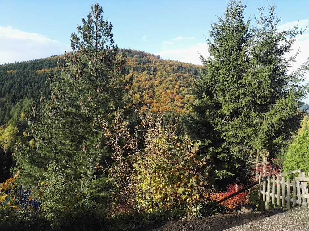Ferienwohnung Waldblick Winterberg