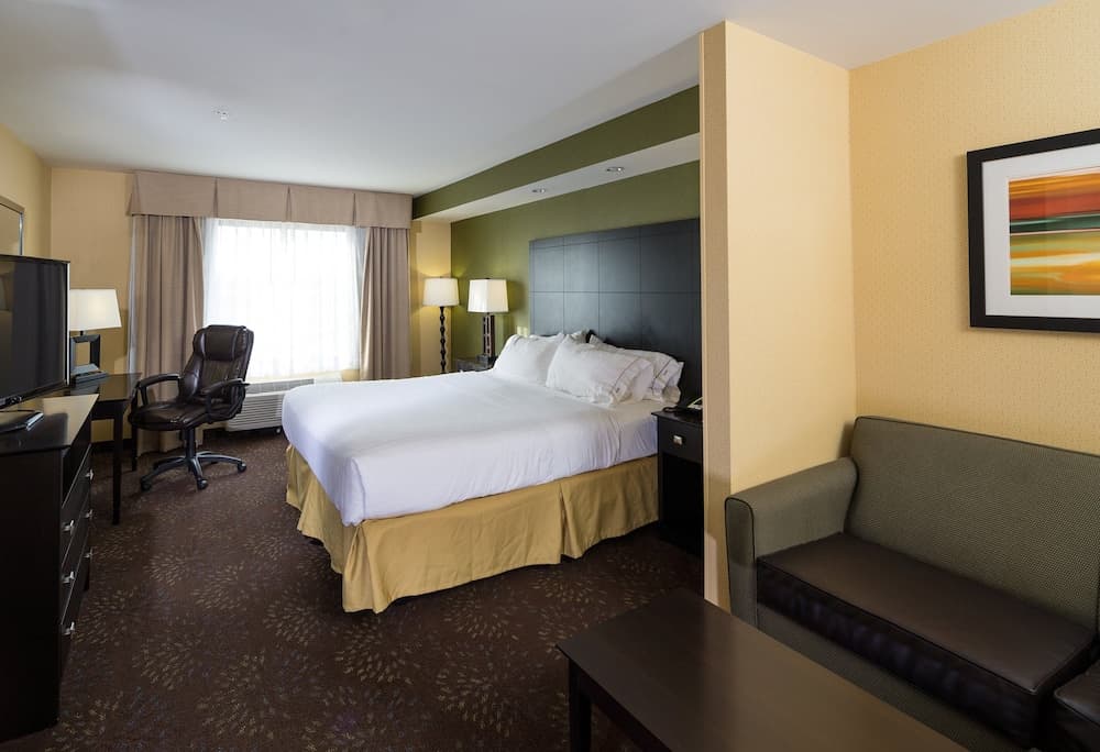 Holiday Inn Express & Suites Detroit North - Troy by IHG