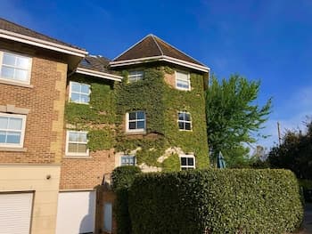 Solent Landing Pet Friendly Bembridge Beachside Holiday Home for 6