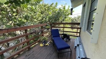 Treehouse Apartment Rentals