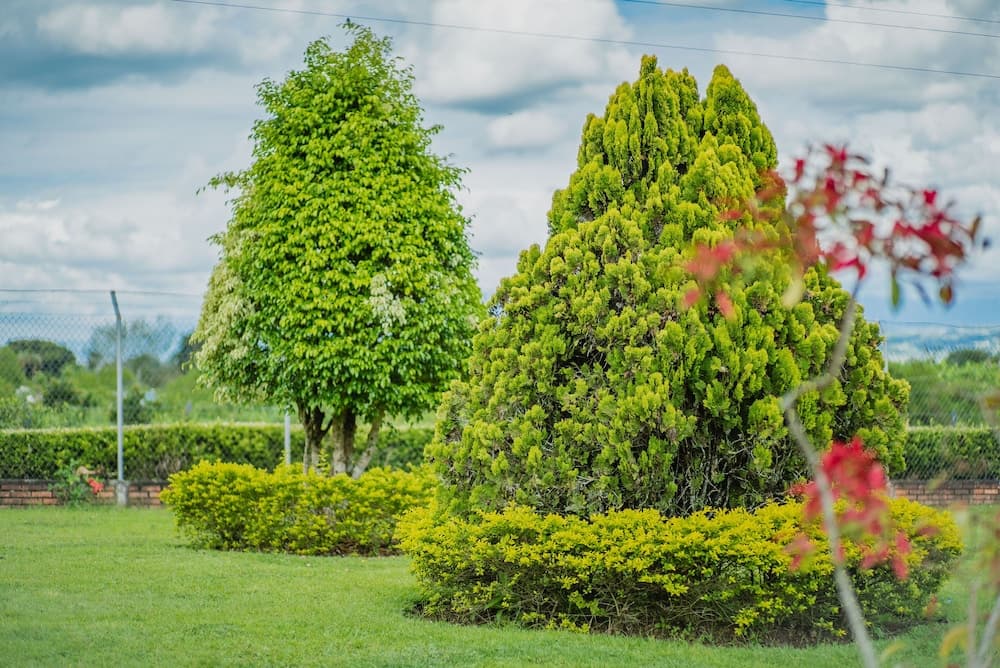 Hacienda Araucaria Habitacion 10