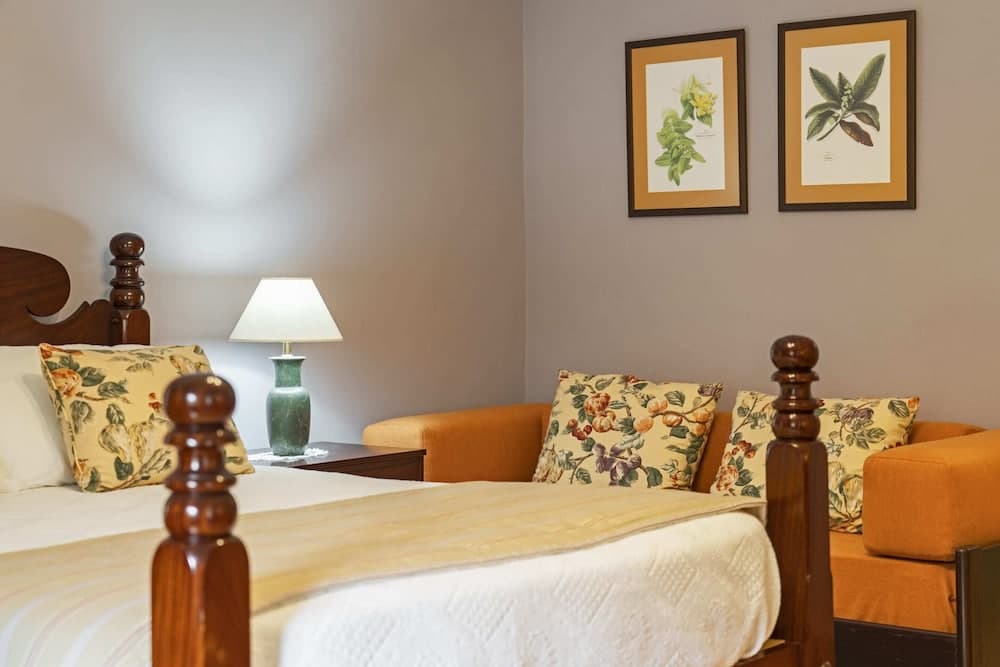 In the Laurissilva Forest, Casa do Lanço Carvalho